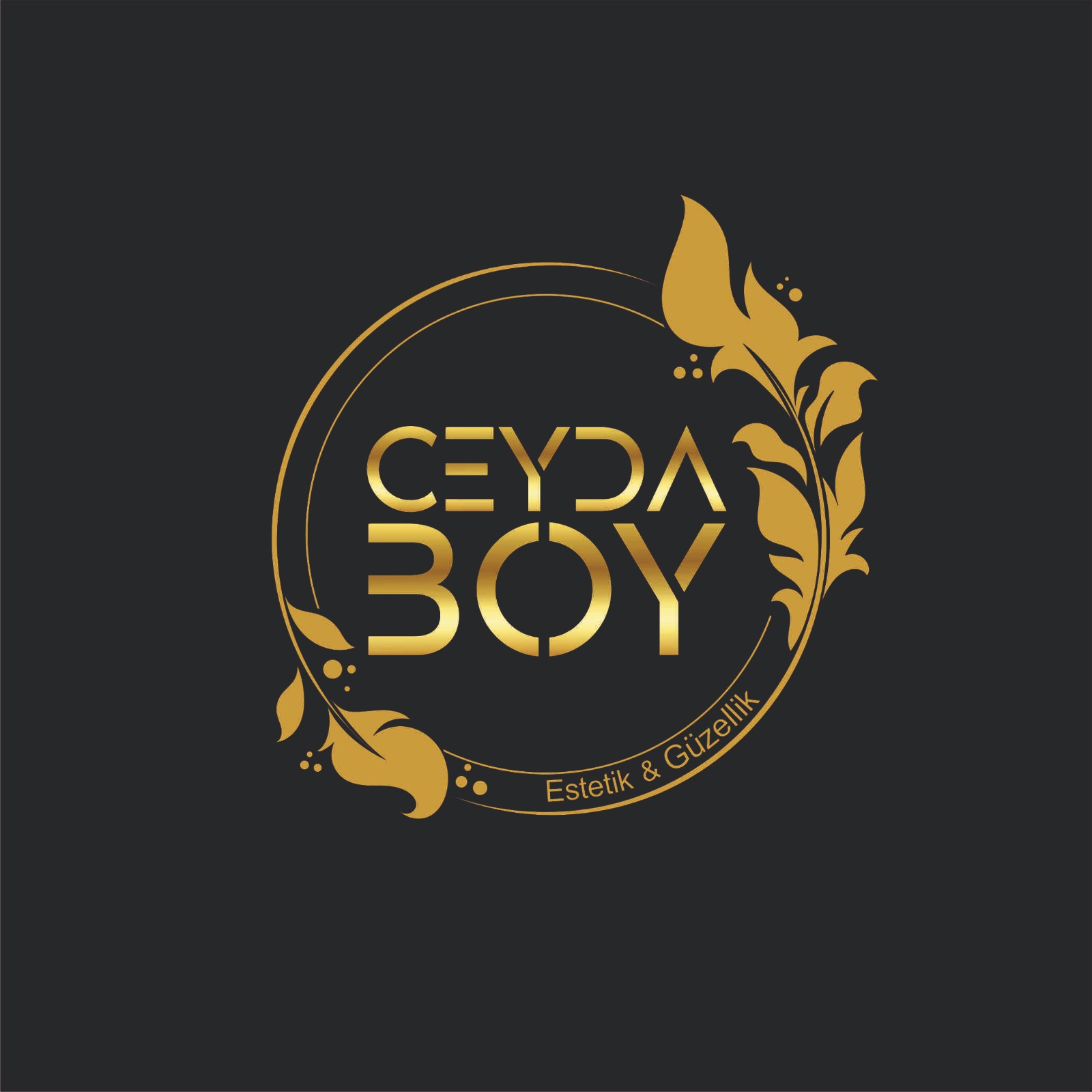 Ceyda Boy Logo